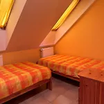 Apartment Roman Villa Apartment Heviz