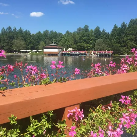 Apartment Apartment Roman Villa Hévíz